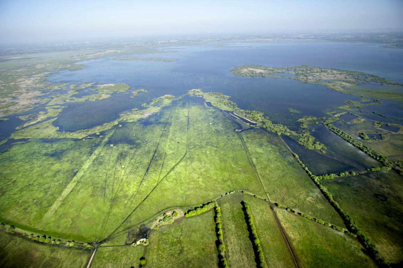 Le lac de Grand Lieu Communauté de Communes de Grand Lieu Le lac de Grand Lieu Communauté de Communes de Grand Lieu