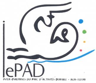 Logo IEPAD