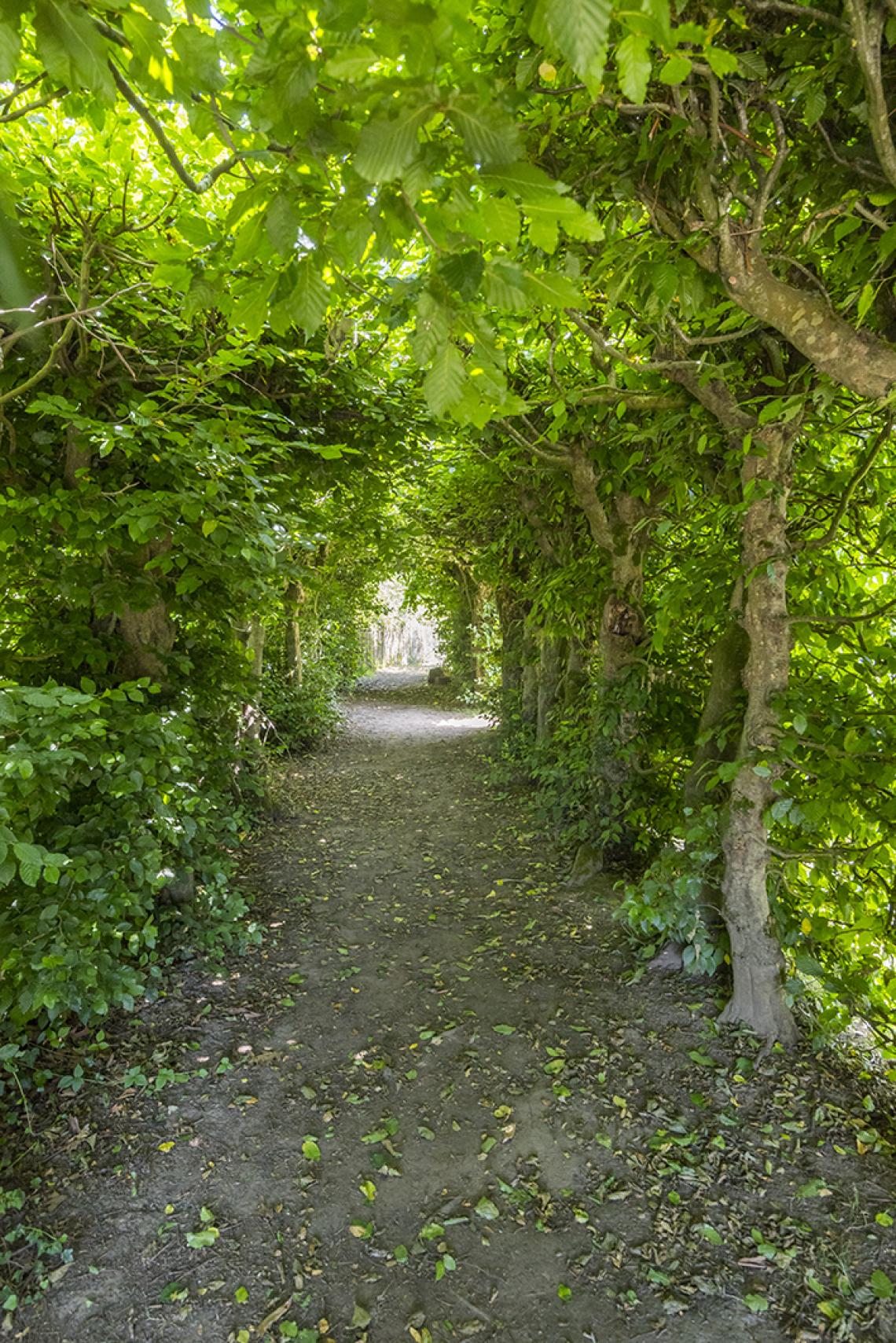 Jardin de la Cure