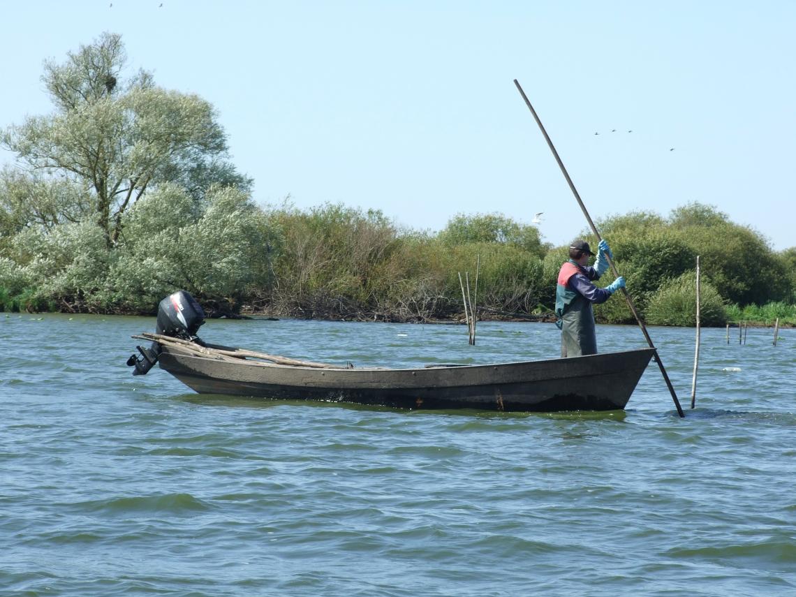 Pêcheur professionnel sur le lac de Grand Lieu