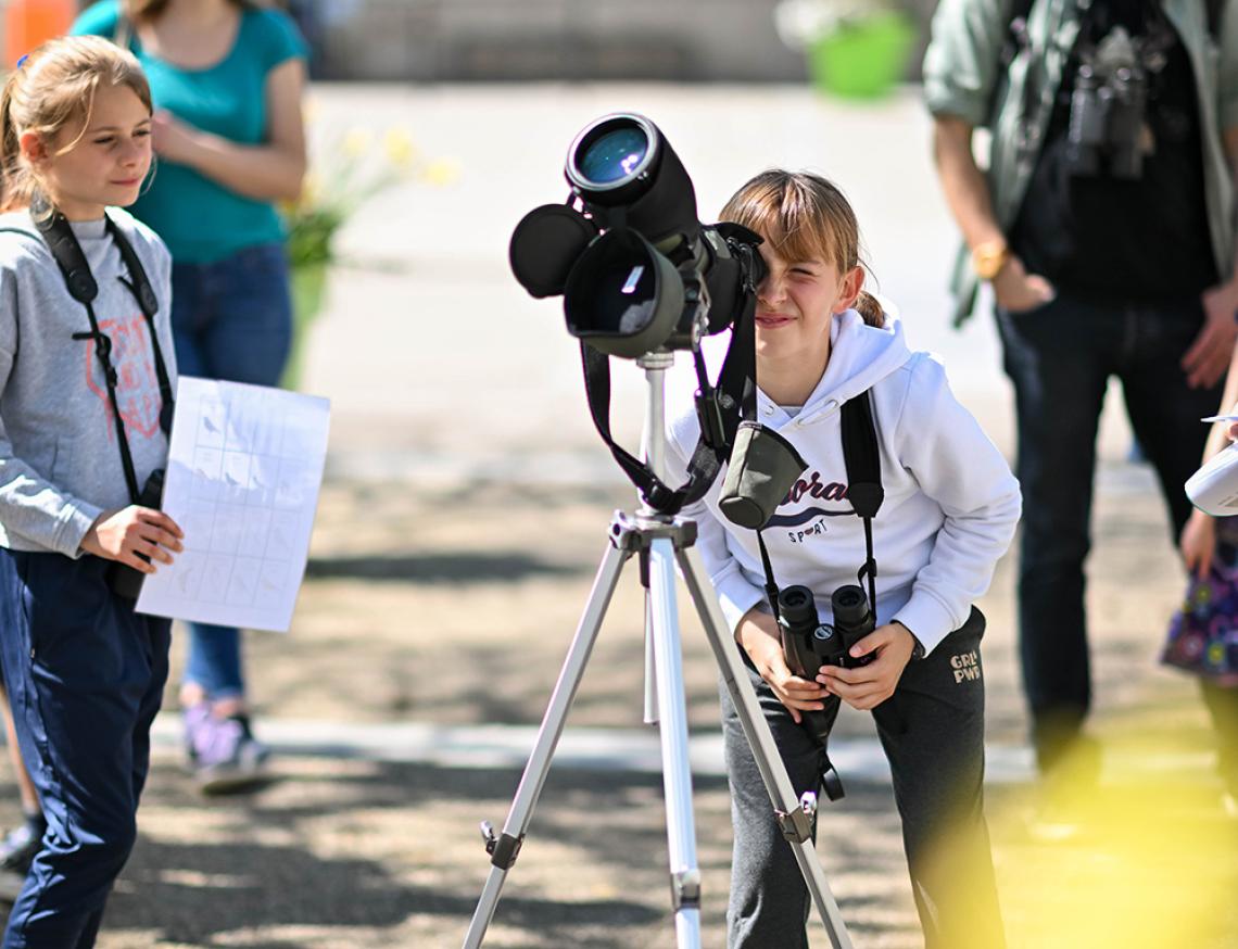 Observation des oiseaux