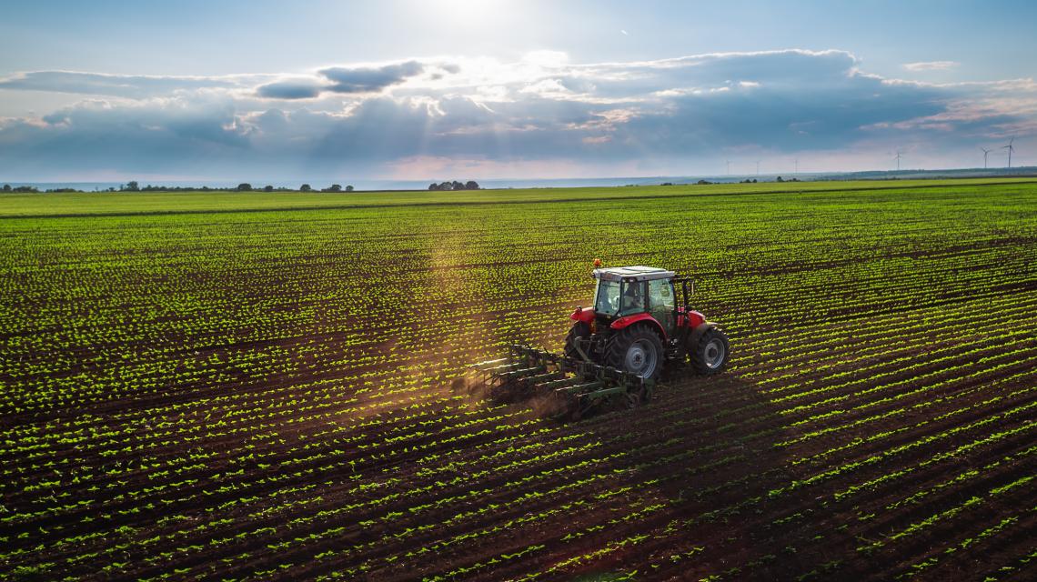 Tracteur dans un champ