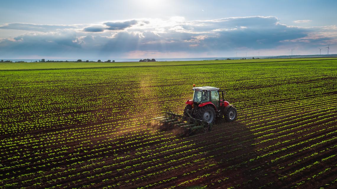 Tracteur dans un champ