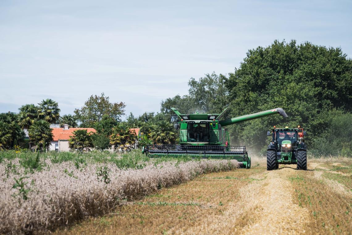 moisson