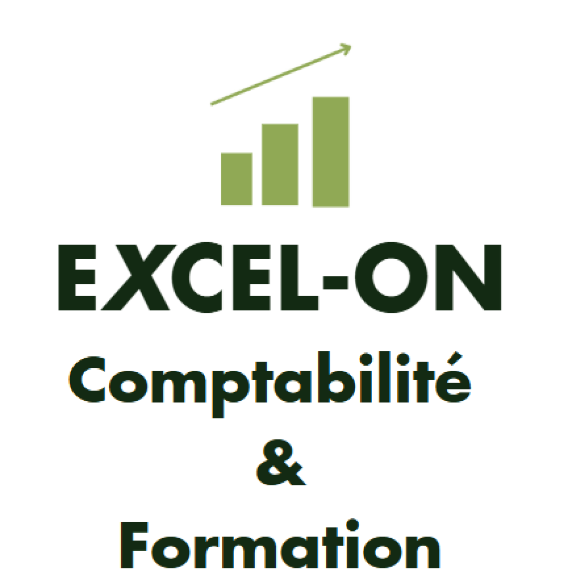 Logo Excel-on