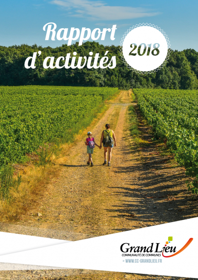 Rapport d'activités